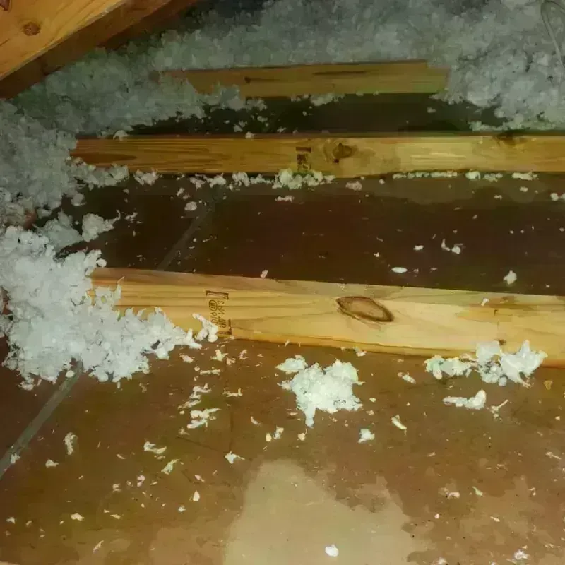 Attic Water Damage in Henderson, LA