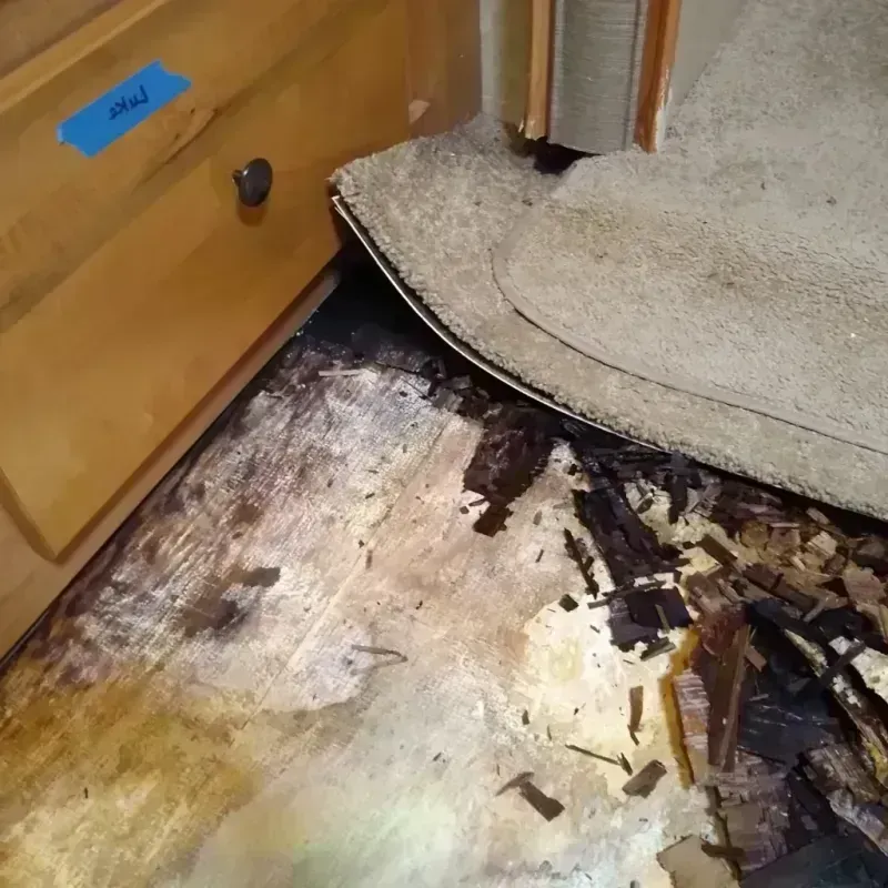 Wood Floor Water Damage in Henderson, LA